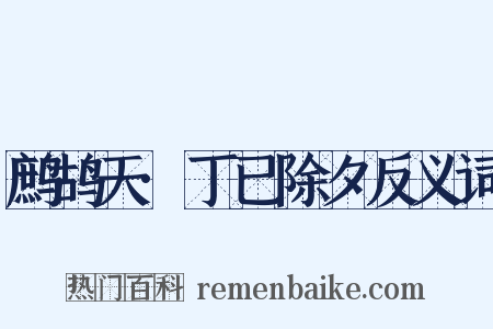 鹧鸪天·丁已除夕反义词是什么意思的图片